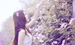 浮图塔2018年1月份生肖兔运程