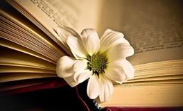 易玄一周生肖运势（1.1--1.7）