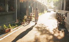 七星堂一周生肖兔运势（1.1-1.7）