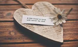 董易林2018年1月生肖鸡运势