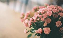 氧气占星2018年1月双子运势