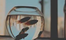 闹闹女巫店2018年摩羯座年度运势