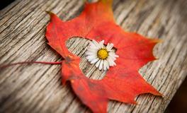 易鑫老师一周生肖吉凶日（1.8-1.14）