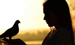 寂多蔓生狮子座一周运势（1.8-1.14）