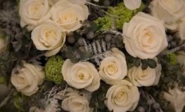 不被看好的爱情，12星座能坚持到底吗