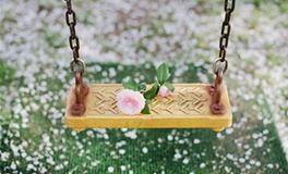 易玄一周生肖蛇运势（01.15-01.21）