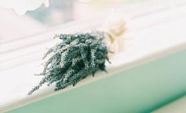 泓翔2018年1月生肖牛财气运势