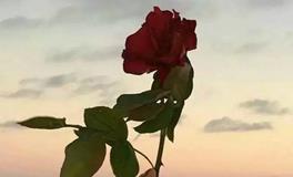 苏珊米勒今日运势2018年1月21日