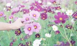 易玄一周生肖鼠运势（01.22-01.28）