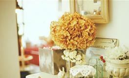 浮图塔一周生肖猪运势(1.22-1.28）