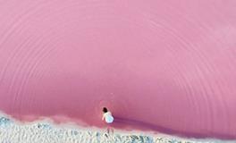 根据十二星座起名字的宜与忌