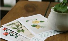 水则堂2018年1月23日生肖运势