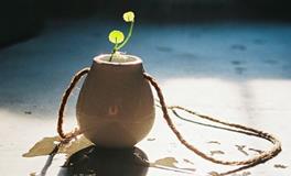 双星记2018年星座运势天蝎座