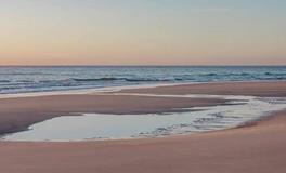 占卜2月份你的运势如何