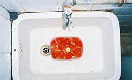 柒爸摩羯座一周运势（1.29-2.4）