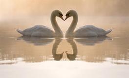 占卜2018你会遇见合适的人吗？