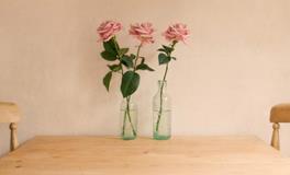 Alex金牛座2018年2月运势