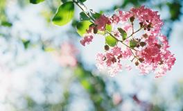 吕克2018年星座运势狮子座