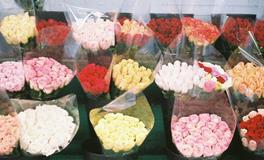 柒爸双鱼座一周运势（2.5-2.11）