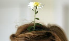 Alex金牛座一周运势（2.5-2.11）