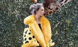 占卜你的闪婚指数有多少