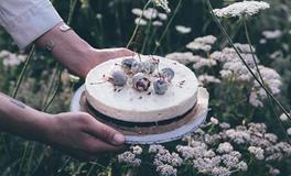 占卜你有多容易被人欺骗