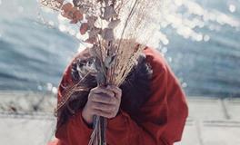 狗年到来，你要做好怎样的准备？