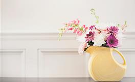 12星座是悲观主义者or乐观主义者？