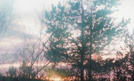 寂多蔓生2018年3月双鱼座运势