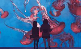 测试你的Ta会不会成为一个软饭君