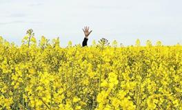 浮图塔一周生肖猴运势(3.5-3.11）