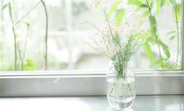 水则堂2018年3月9日生肖运势