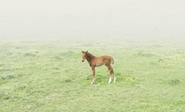 YAO叔白羊座一周运势（3.12-3.18）