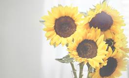 寂多蔓生巨蟹座一周运势（3.12-3.18）