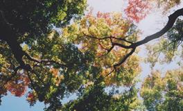 苏珊米勒今日运势2018年3月21日