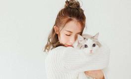 七星堂一周生肖狗运势（3.26-4.1）