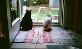 测试：2018年，你是清醒or迷糊？