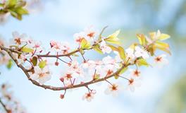 揭秘｜桃花运好到自己怀疑人生的星座