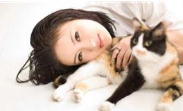 易玄一周生肖猪运势（4.4-4.10）