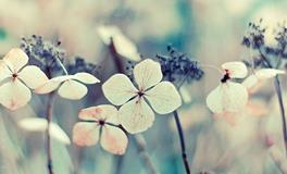 Eskey双鱼座2018年4月运势