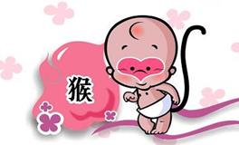 关于猴的歇后语，生肖猴歇后语