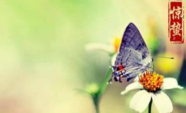 二十四节气之惊蛰