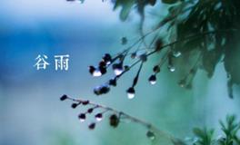 谷雨节气的谚语大全