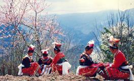 瑶族刺绣文化，瑶族刺绣有哪些的讲究？