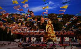 佛教大全四圣谛是什么？