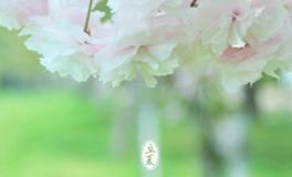 2018年立夏，立夏是几月几日