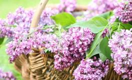 引玥:天蝎座2018年5月运势