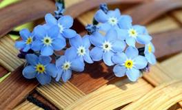 TIM:一周双子座运势（4.29-5.5）