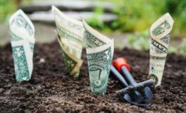 生肖兔2018年5月财运如何