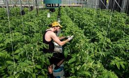 2018年5月狮子座会转运吗？什么运最好